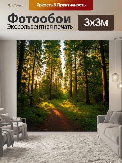 Фотообои лес с вечерним релаксом и ощущением спокойствия