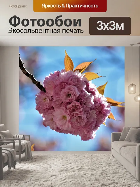 Фотообои Вишни в цвету