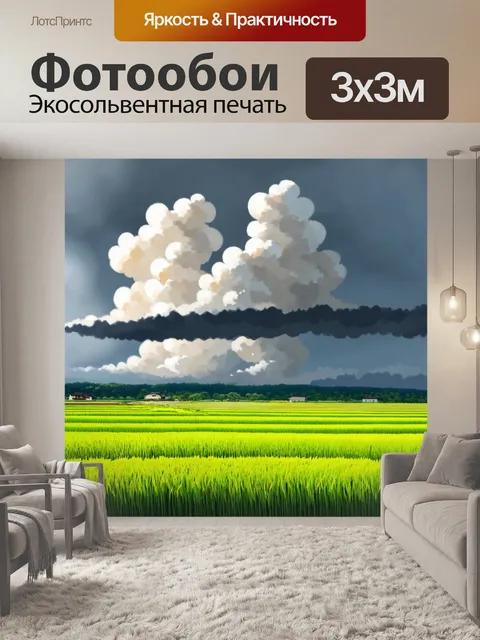 Фотообои япония, изображающие плотные облака над участками рисовых полей, отражающие изменения в погоде