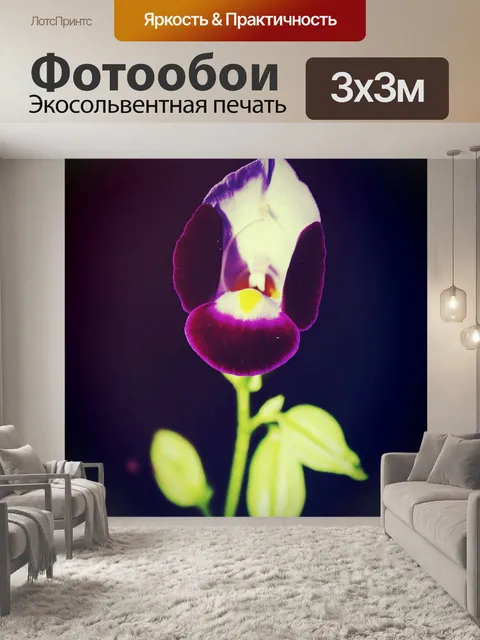 Фотообои Красивый цветок