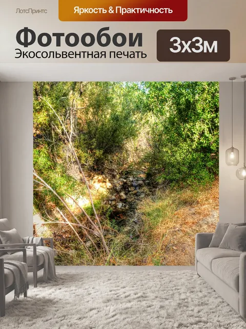 Фотообои Осенний ручей