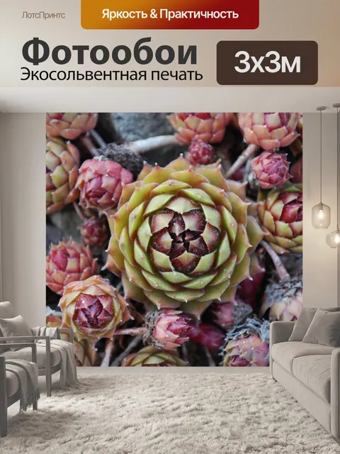 Фотообои Растения