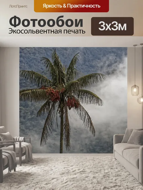 Фотообои Колумбия