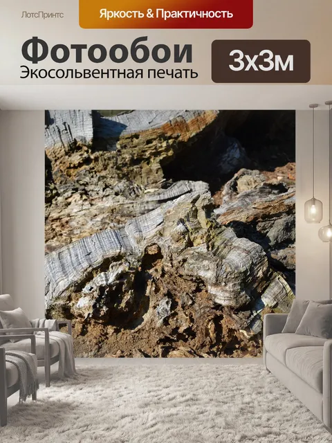 Фотообои Природа