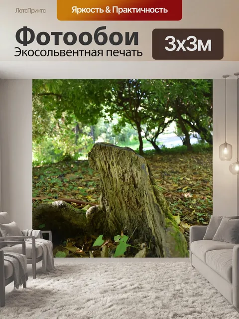 Фотообои Лес