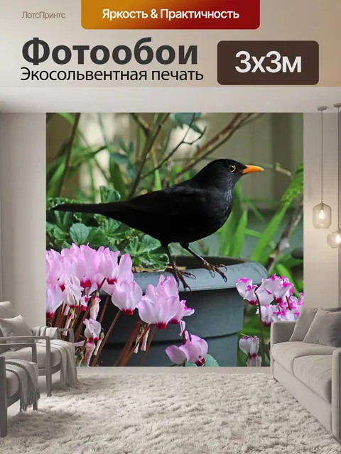 Фотообои Птица