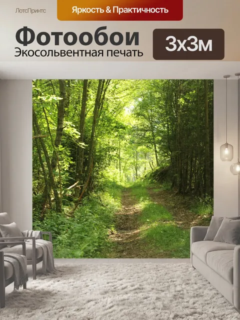 Фотообои Лесная тропа