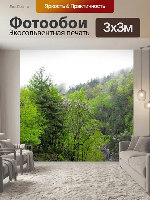 Фотообои Хилл Вид сбоку