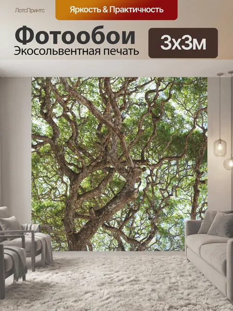 Фотообои Деревья