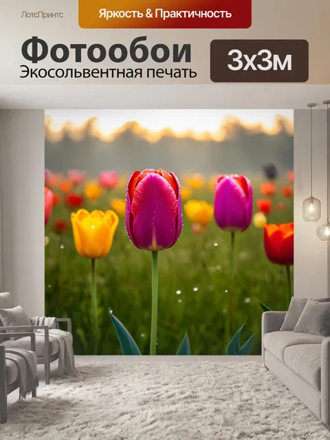 Фотообои тюльпан на утреннем свете, его лепестки сверкают росой, фон — туманная поляна с яркими цветами