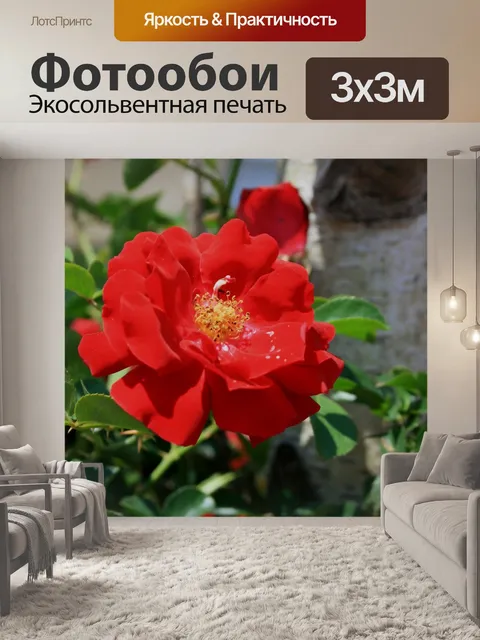 Фотообои дикая красная роза