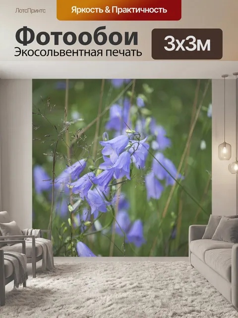Фотообои Лес