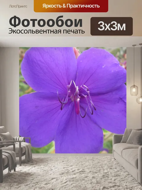 Фотообои Цветы