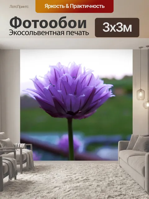 Фотообои Chive цветы