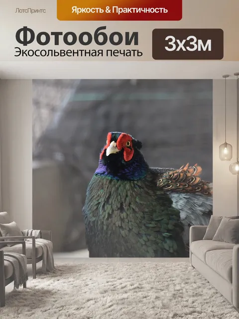 Фотообои Животное