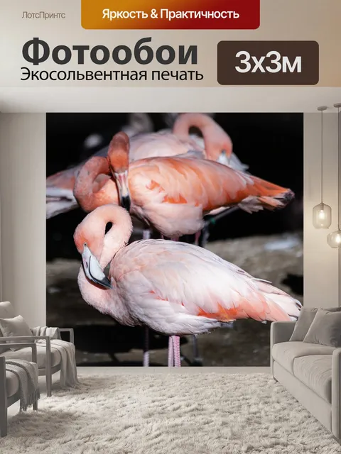 Фотообои Фламинго