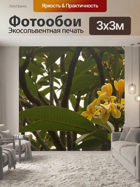 Фотообои жасмин цветок на дереве