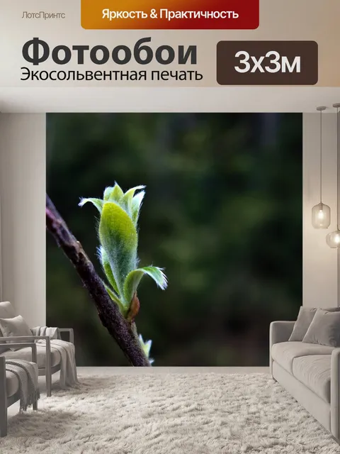 Фотообои Дерево