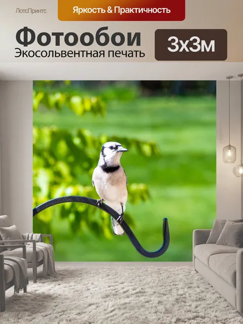 Фотообои Птицы
