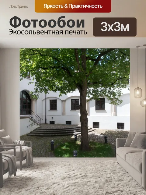 Фотообои Патио