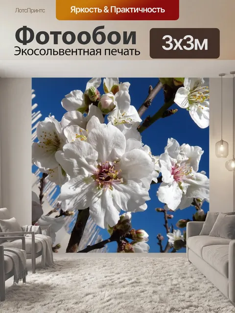 Фотообои Цветы