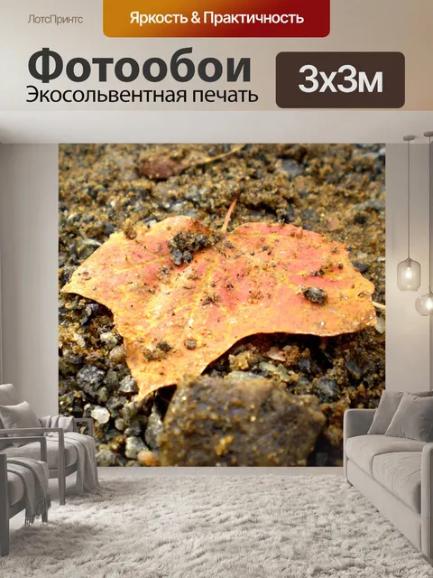 Фотообои Кленовый лист
