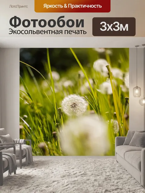 Фотообои Одуванчик