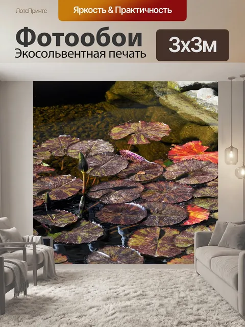 Фотообои Осень Лили пруд