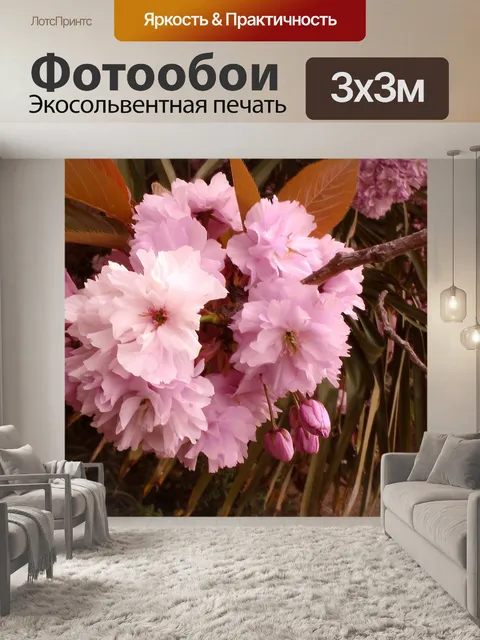 Фотообои Cherry Blossom Tree