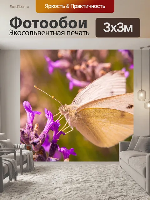 Фотообои Бабочка