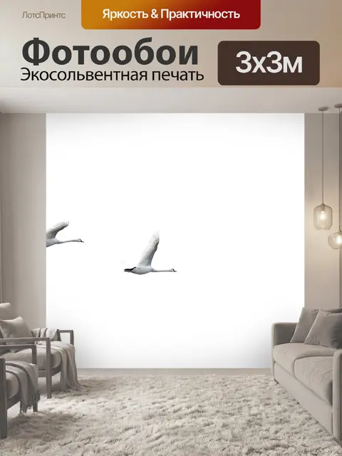 Фотообои Лебеди