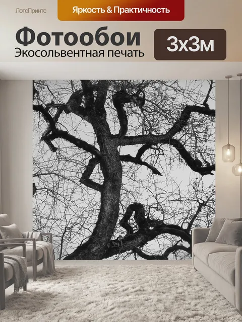 Фотообои Деревья
