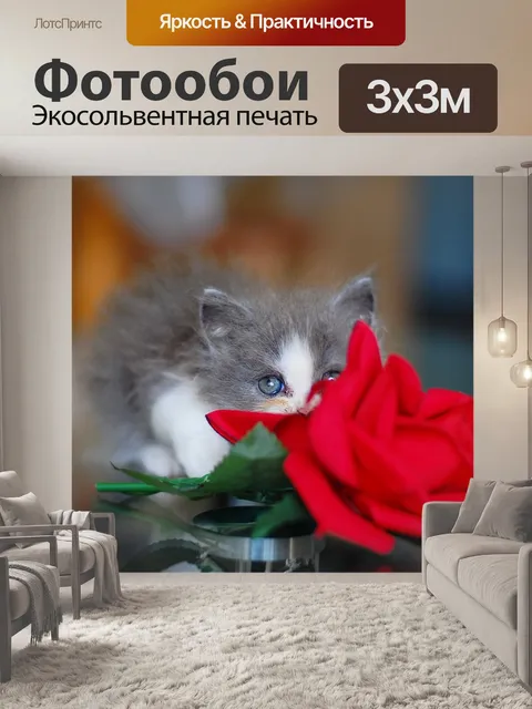 Фотообои Кошка