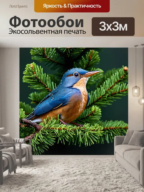 Фотообои птица, на которой сверкают капли дождя, стоящая на ветке елового дерева; макрофотография с акцентом на…