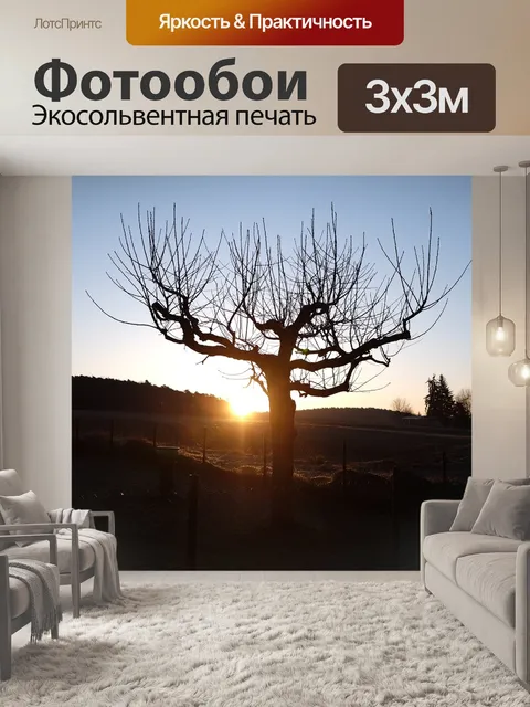Фотообои Дерево