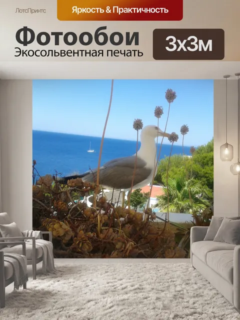 Фотообои Birds Eye View