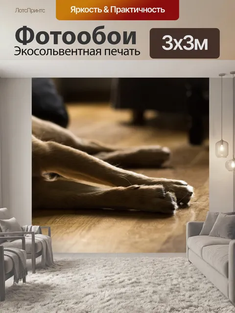 Фотообои Собака