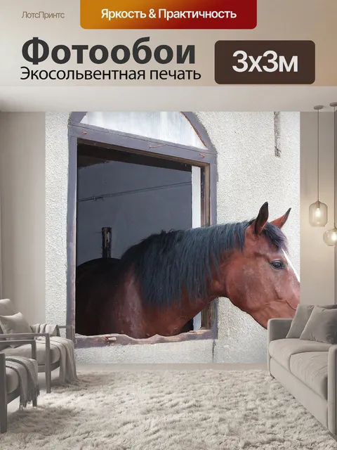 Фотообои Лошадь