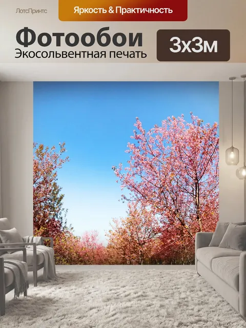 Фотообои Prunus cerasoides, дикая гималайская виш