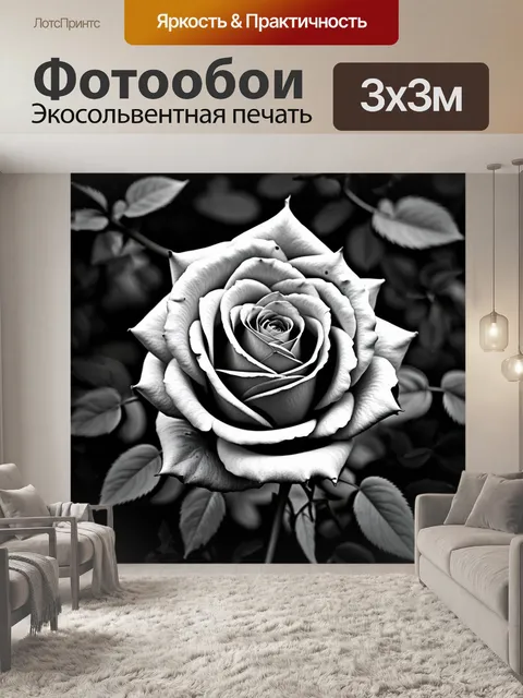 Фотообои розы в стиле модернизм, монохромные фоны, акцент на контрастах, использование оттенков серого