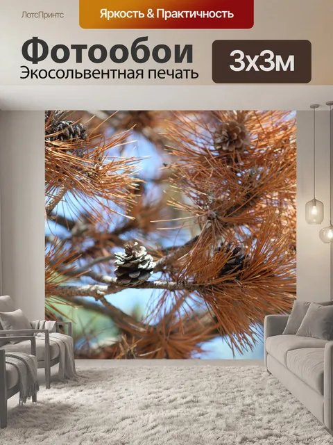 Фотообои Дерево