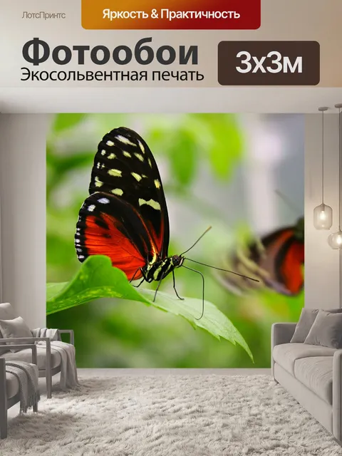 Фотообои Бабочки