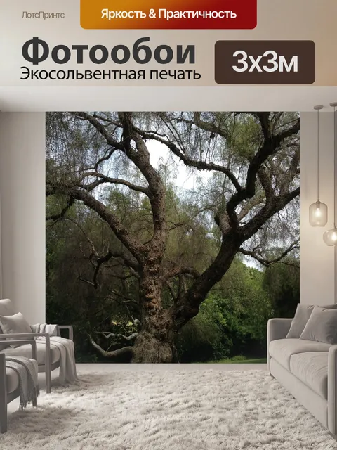 Фотообои Сад