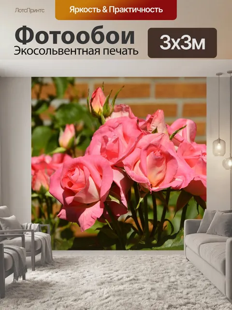 Фотообои Розы