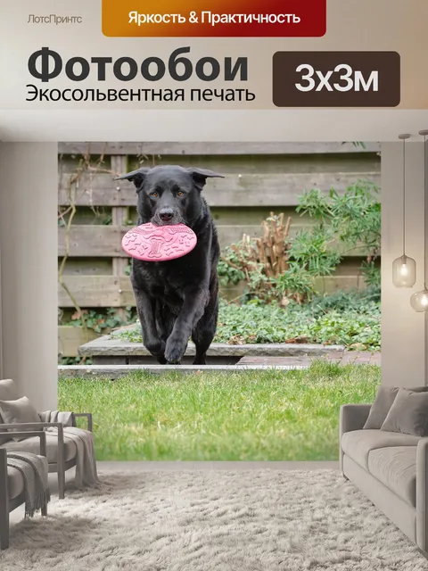 Фотообои Собака