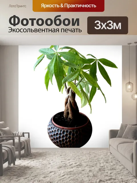 Фотообои Цветок