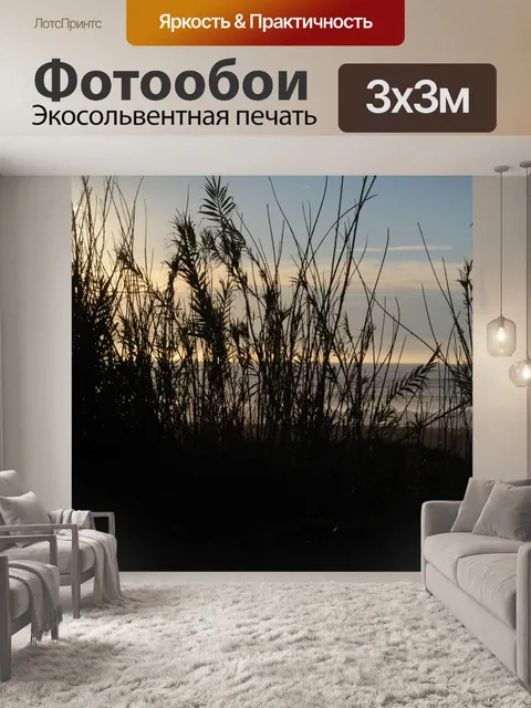 Фотообои Силуэт Трава и океан
