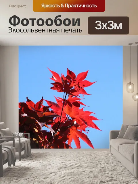 Фотообои Листья