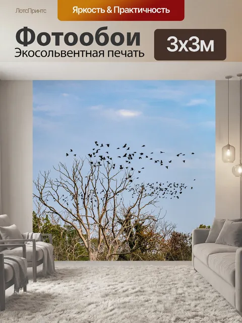 Фотообои Дерево