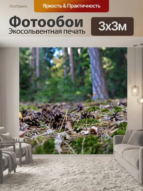 Фотообои Лес